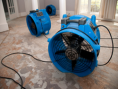 Mold Remediation Jacksonville 