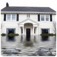 Mold Remediation Jacksonville 